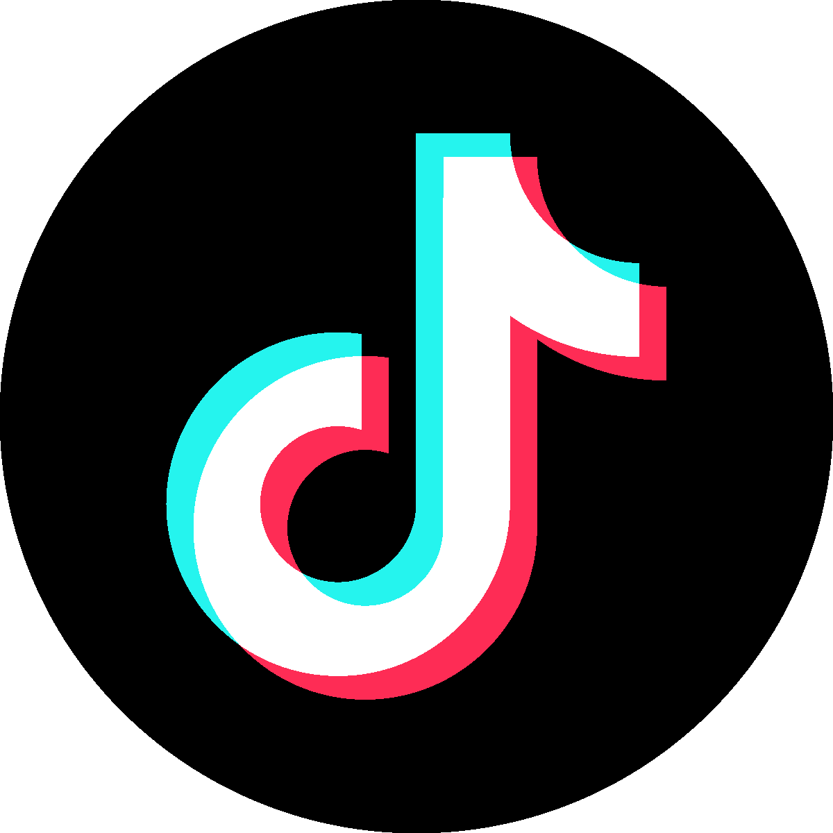 TikTok for Business